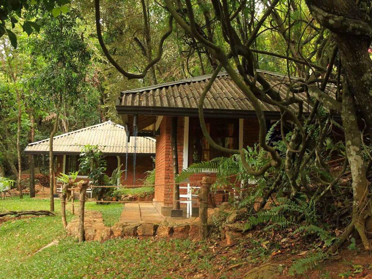 Forest cottages